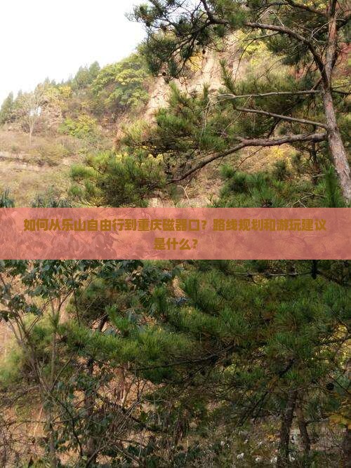 如何从乐山自由行到重庆磁器口？路线规划和游玩建议是什么？