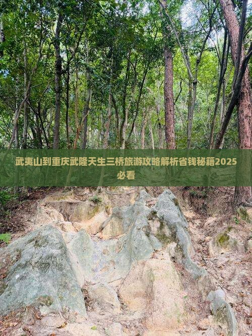 武夷山到重庆武隆天生三桥旅游