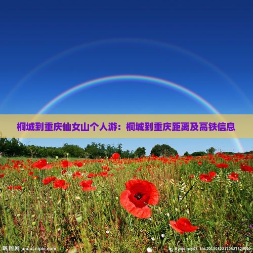 桐城到重庆仙女山个人游