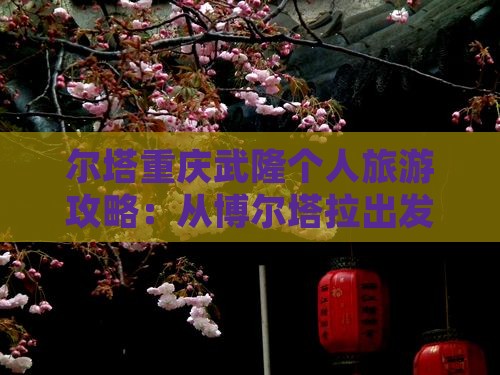 博尔塔拉到重庆武隆个人游