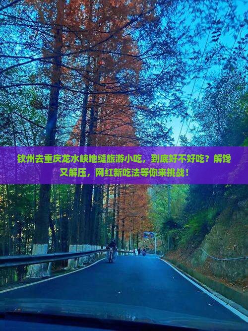 钦州去重庆龙水峡地缝旅游小吃