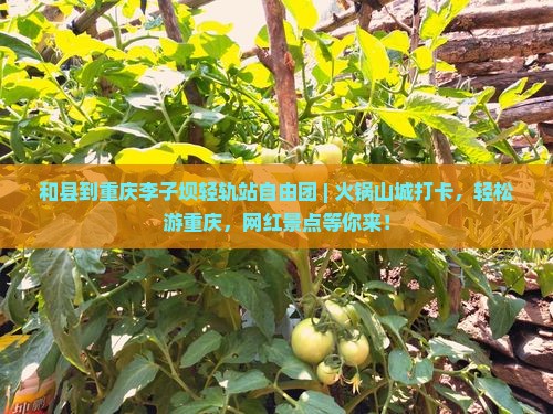 和县到重庆李子坝轻轨站自由团
