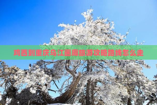 鸡西到重庆乌江画廊旅游