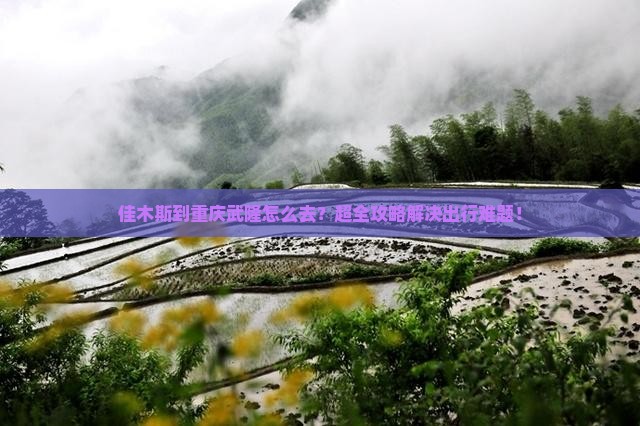 佳木斯到重庆武隆旅行社