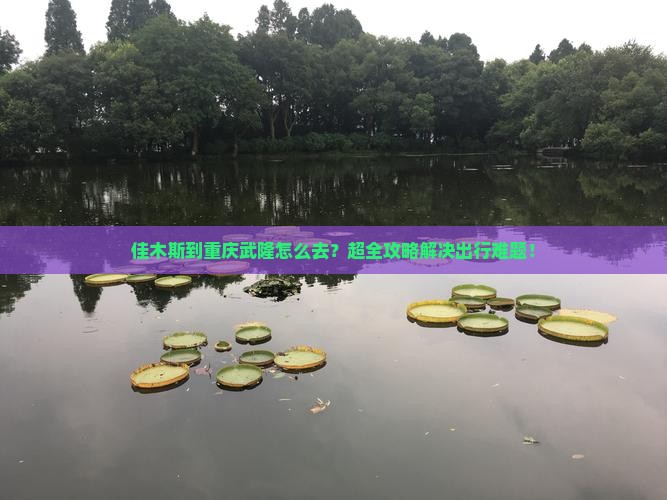 佳木斯到重庆武隆旅行社
