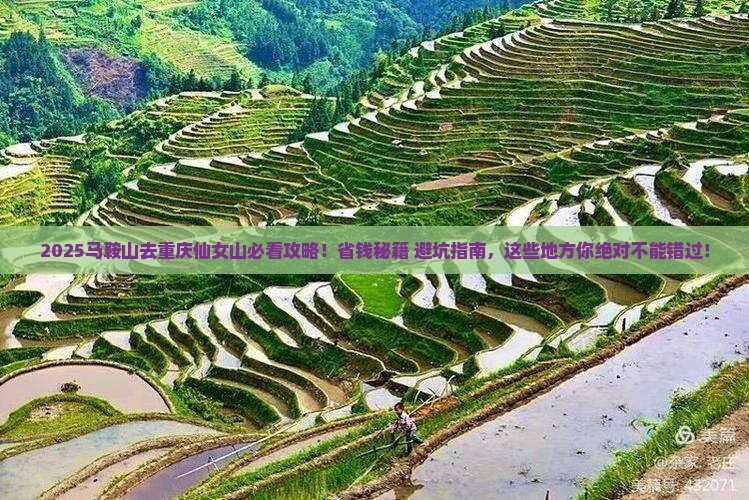 马鞍山去重庆仙女山必去地