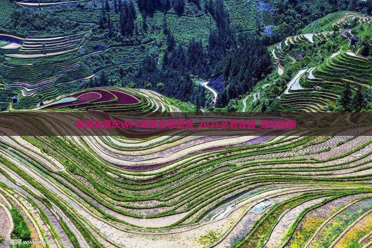 衡阳去重庆wfc观景台哪里玩
