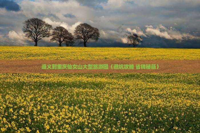 遵义到重庆仙女山大型旅游团