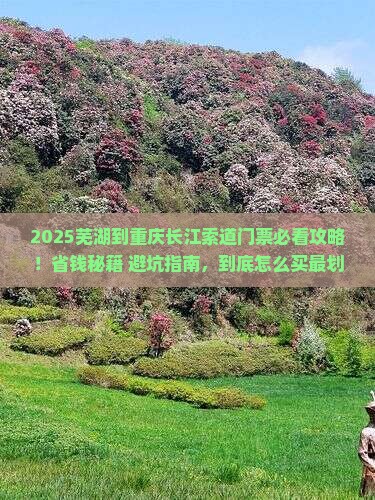 芜湖到重庆长江索道门票