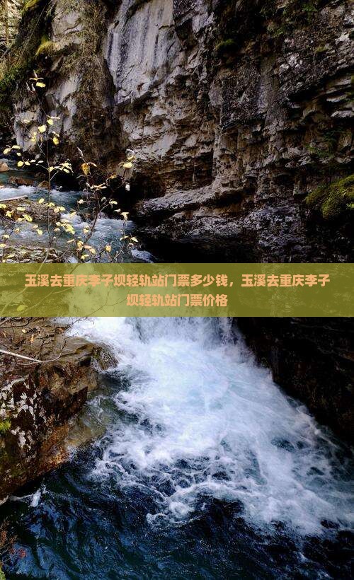 玉溪去重庆李子坝轻轨站门票