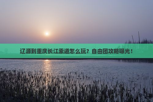 辽源到重庆长江索道自由团