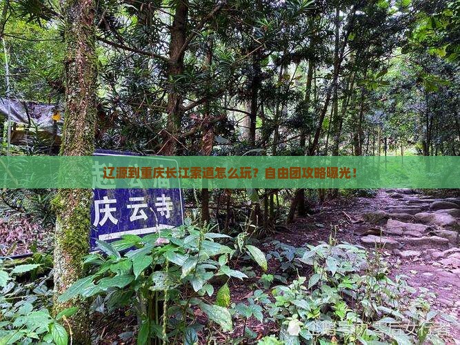 辽源到重庆长江索道自由团