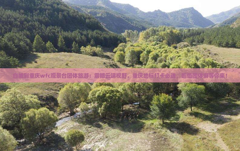 白城到重庆wfc观景台团体旅游