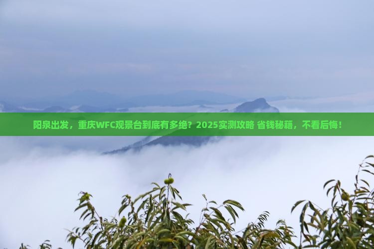 阳泉去重庆wfc观景台攻略
