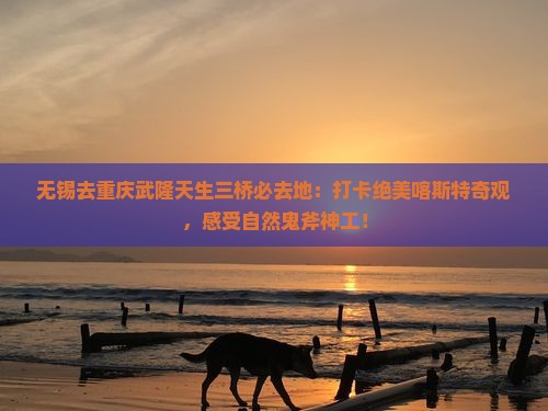 无锡去重庆武隆天生三桥必去地