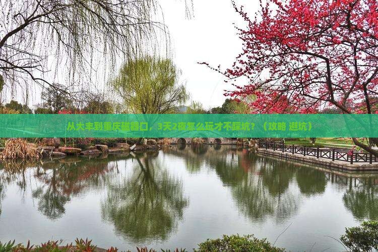 大丰到重庆磁器口个人游