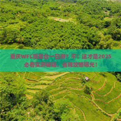 淮南去重庆wfc观景台一日