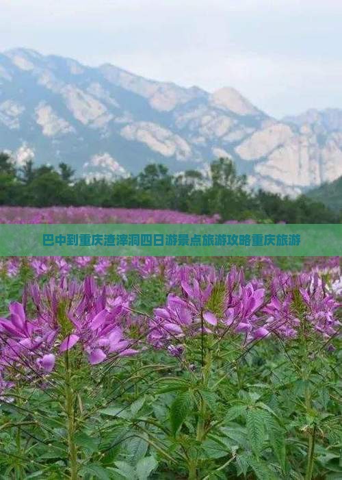 巴中到重庆渣滓洞四日游