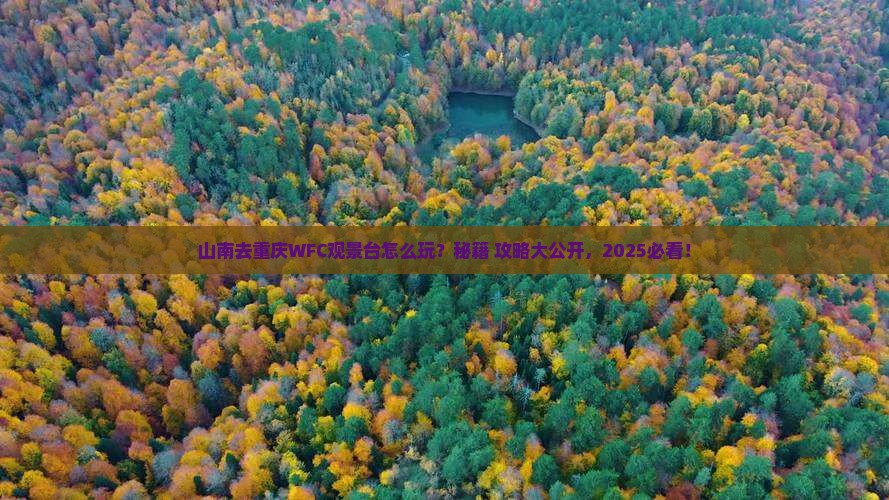 山南去重庆wfc观景台哪里玩