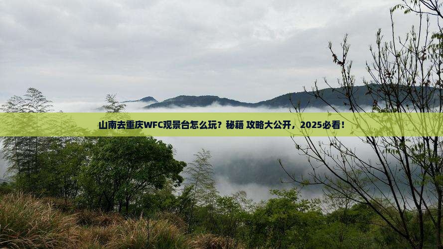 山南去重庆wfc观景台哪里玩