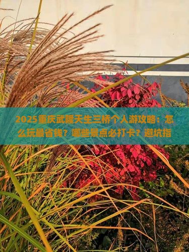 秋天去重庆武隆天生三桥个人游