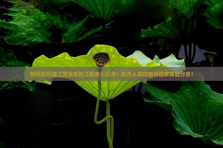 如何规划湛江至重庆长江索道七日游？避开人潮攻略与独家体验分享！