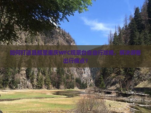如何打造昌都至重庆WFC观景台自由行攻略，解决游客出行痛点？