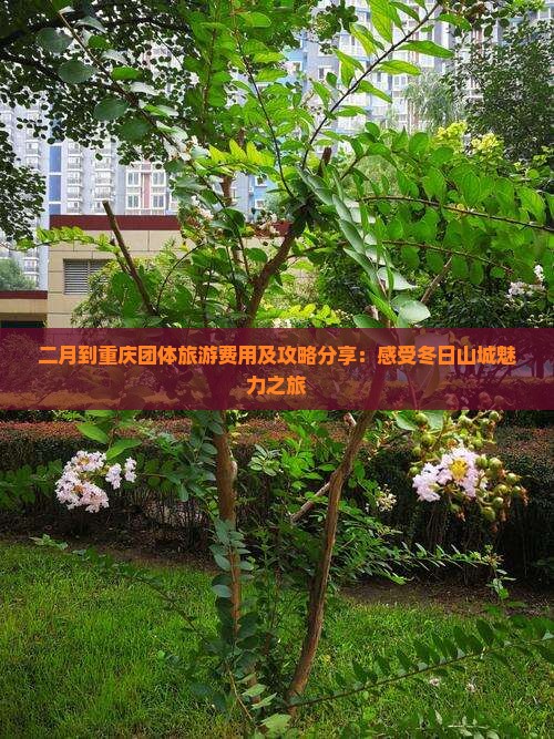 二月到重庆团体旅游费用及攻略分享：感受冬日山城魅力之旅