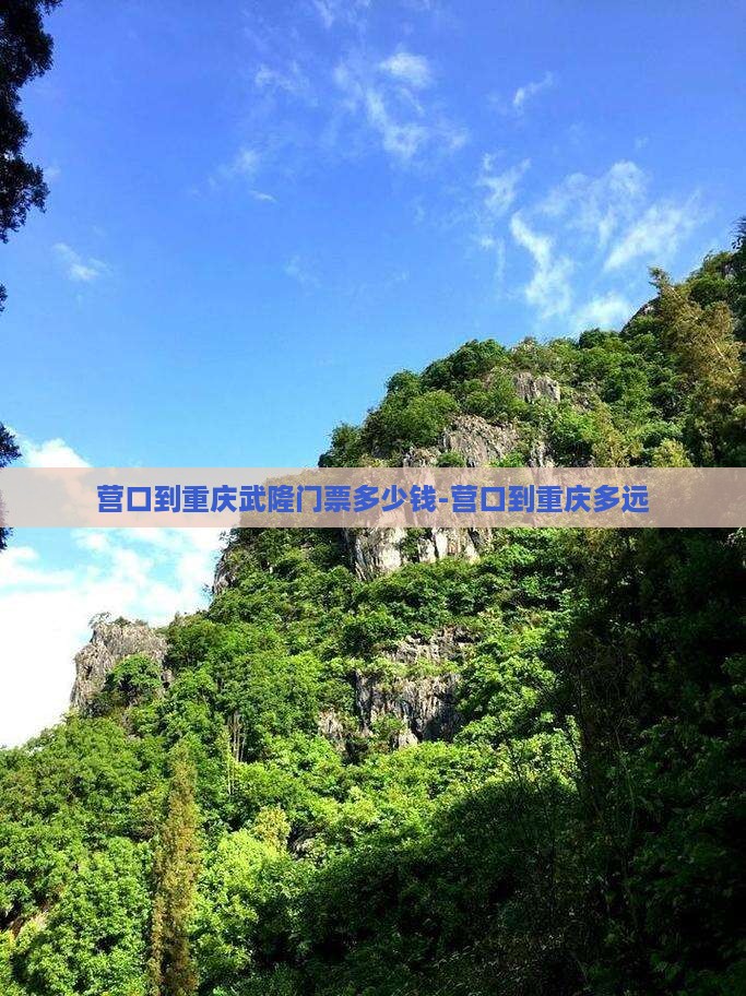 营口到重庆武隆门票多少钱-营口到重庆多远
