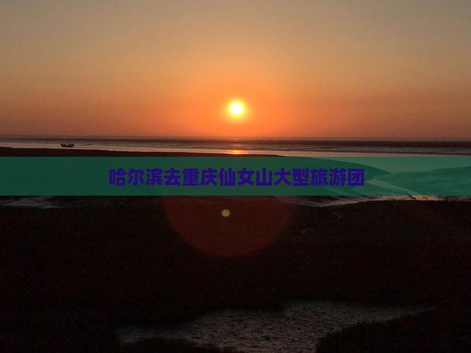 哈尔滨去重庆仙女山大型旅游团