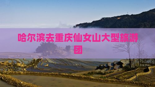 哈尔滨去重庆仙女山大型旅游团
