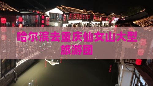 哈尔滨去重庆仙女山大型旅游团
