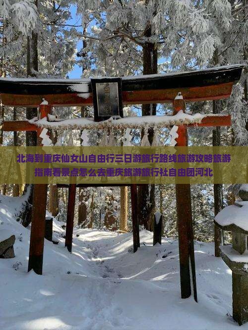 北海到重庆仙女山自由行三日游旅行路线旅游攻略旅游指南看景点怎么去重庆旅游旅行社自由团河北