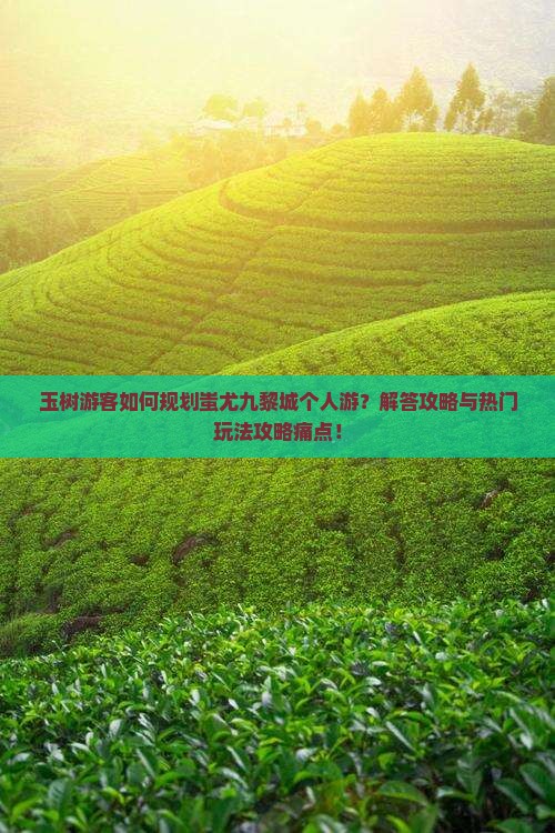 玉树游客如何规划蚩尤九黎城个人游？解答攻略与热门玩法攻略痛点！