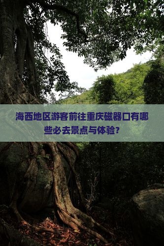 海西地区游客前往重庆磁器口有哪些必去景点与体验？