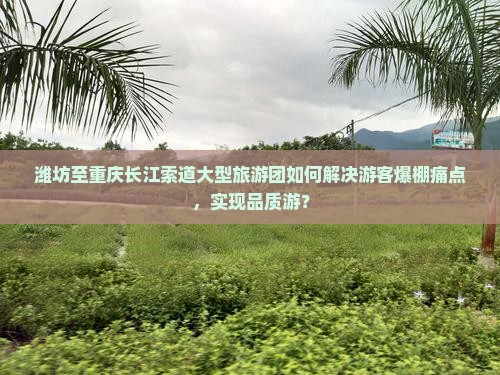 潍坊至重庆长江索道大型旅游团如何解决游客爆棚痛点，实现品质游？
