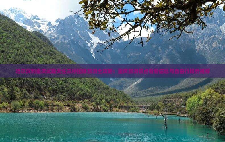 哈尔滨到重庆武隆天生三桥团体旅游全攻略：重庆旅游景点看看信息与自由行服务推荐