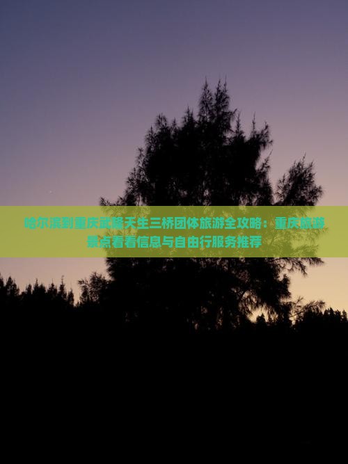 哈尔滨到重庆武隆天生三桥团体旅游全攻略：重庆旅游景点看看信息与自由行服务推荐