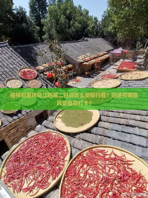 桂林到重庆乌江画廊二日游怎么安排行程？沿途有哪些风景值得打卡？