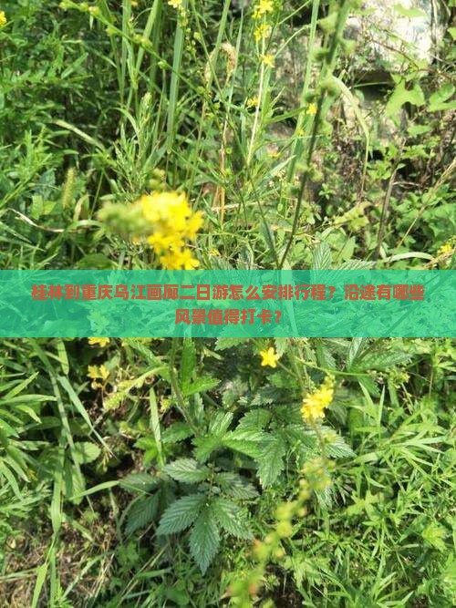桂林到重庆乌江画廊二日游怎么安排行程？沿途有哪些风景值得打卡？