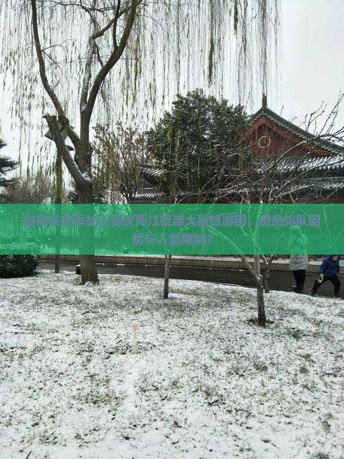 如何在冬季加入重庆两江夜游大型旅游团，避免排队困扰与人数限制？