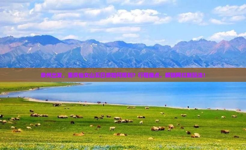 泉州出发，重庆仙女山五日游如何规划？行程痛点，解锁网红新玩法！
