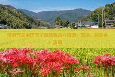 清明节去重庆李子坝轻轨站六日游：交通、购票全攻略