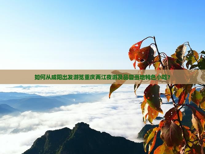 如何从咸阳出发游览重庆两江夜游及品尝当地特色小吃？