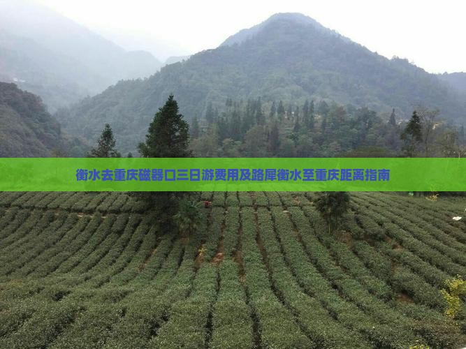 衡水去重庆磁器口三日游费用及路犀衡水至重庆距离指南