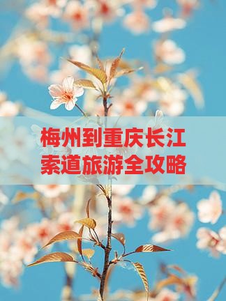 梅州到重庆长江索道旅游全攻略及详细路线