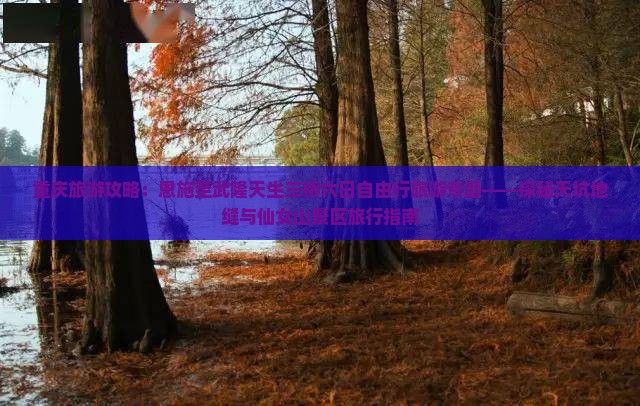 重庆旅游攻略：恩施至武隆天生三桥六日自由行旅游专题——探秘天坑地缝与仙女山景区旅行指南