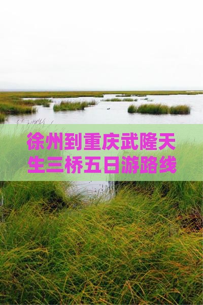 徐州到重庆武隆天生三桥五日游路线及里程