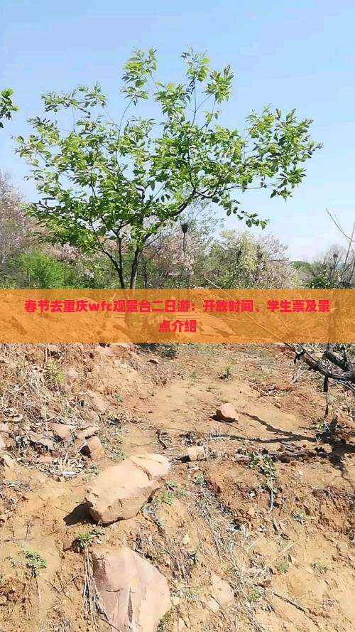 春节去重庆wfc观景台二日游：开放时间、学生票及景点介绍