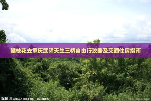 攀枝花去重庆武隆天生三桥自由行攻略及交通住宿指南